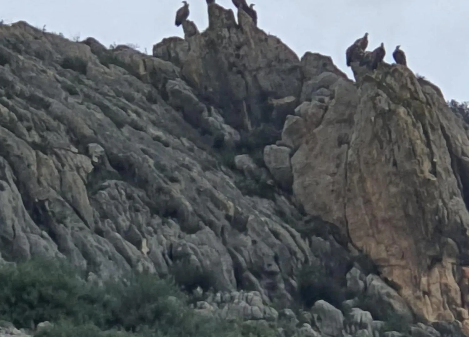 Апартаменты Molino De Las Pilas - Ecoturismo - Caminito Del Rey Теба